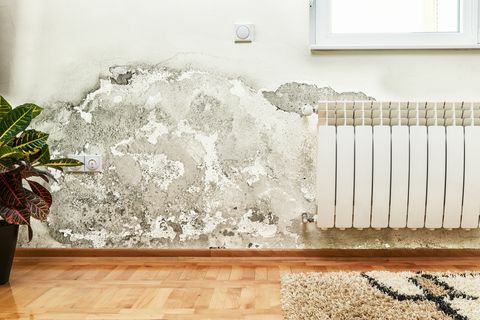 Poškození způsobené vlhkostí na zdi v moderním domě