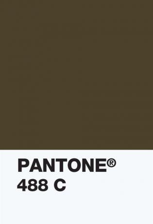 Pantone Color Institue - vzorník barev 448c - neprůhledný gauč