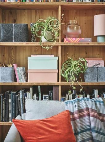 umělecky upravená knihovna v obývacím pokoji s knihami, úložnými boxy a rostlinami