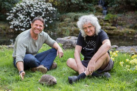 Steve Backshall, Brian May, Zachraňuji britské ježky