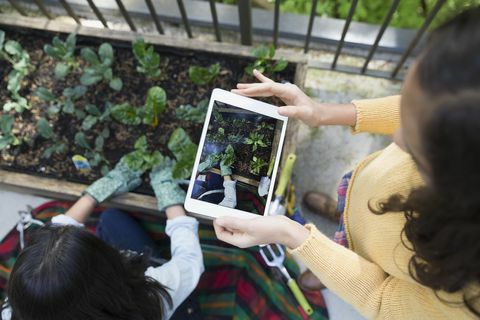 Pohled dívka s digitálním tabletu fotografování matka zahradnictví