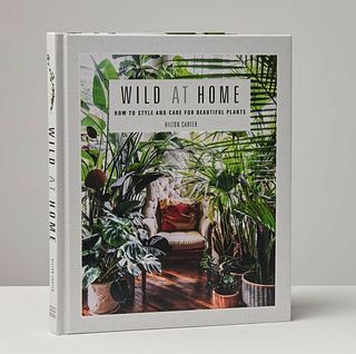 Kniha Divočina doma: Styl a péče o krásné rostliny