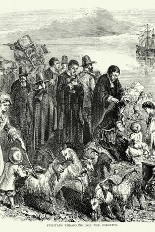 puritáni nastupující do kolonií