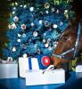 První vánoční strom na světě s darováním je zde