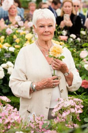 Judi Dench se zúčastní tiskového dne RHS Chelsea Flower Show 2017