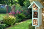 Alys Fowler má 5 nejlepších tipů, jak přilákat včely do vaší zahrady