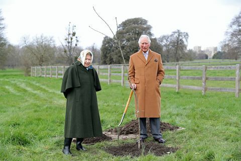 královna Alžběta II a princ z Walesu s prvním jubilejním stromem v areálu hradu Windsor