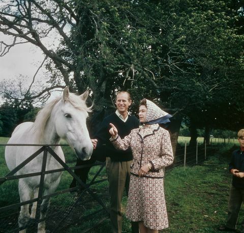 královna alžběta II a princ philip navštíví farmu na panství balmoral ve skotsku během roku výročí stříbrné svatby, září 1972 foto fox photoshulton archivegetty images