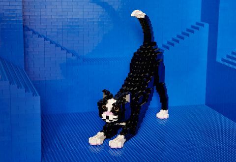 Airbnb - Lego House - kočka