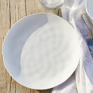 Bílý melaminový talíř na piknik