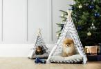 Aldi Special Buys: Aldi Prodává 39,99 £ Postel pro domácí mazlíčky na Vánoce