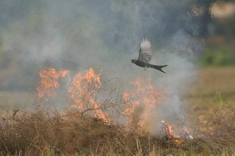 fotografická soutěž rhs 2021