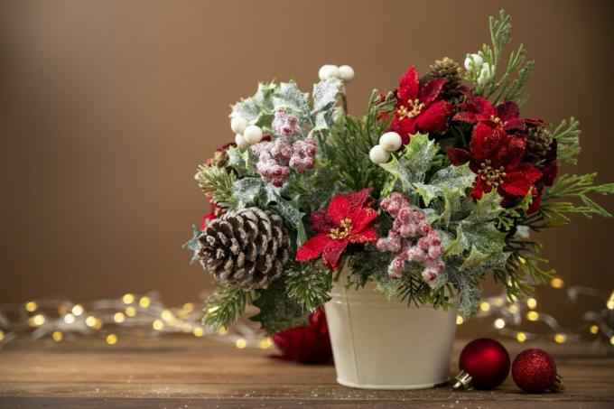 vánoční slavnostní aranžmá s červenou vánoční hvězdou na hnědém pozadí s bokeh světly