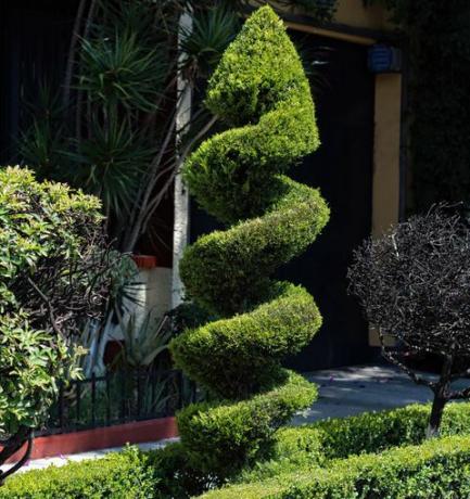 topiary zahrada