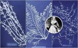 Mezinárodní den žen: Botanická tapeta inspirovaná Annou Atkinsovou je prostě elegantní