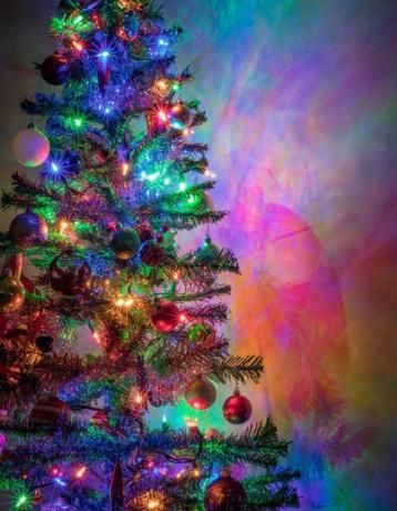 Vánoční strom - vícebarevná světla