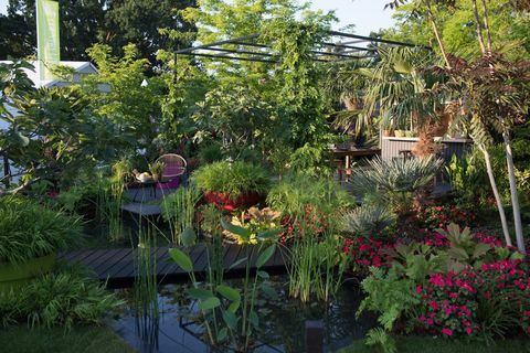 Zahrada B&Q Bursting Busy Lizzie Garden - Květinová výstava RHS Hampton Court Palace 2018