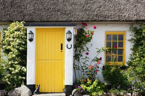 žluté dveře