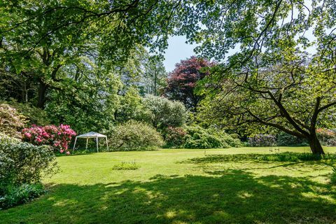 Kamenný sál - Velšský hák - Pembrokeshire - zahrada - Na trhu