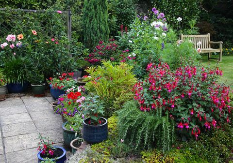 Světlé květiny v anglické zahradě s terasami a květinovými záhony.