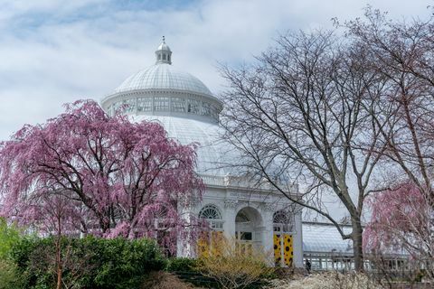 enid a haupt konzervatoř nybg botanická zahrada v New Yorku