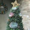Tyto šťavnaté vánoční stromky dodají vaší sváteční výzdobě slavnostní nádech