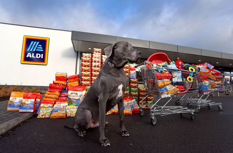 Aldi - Pet Rozsah událostí - jídlo