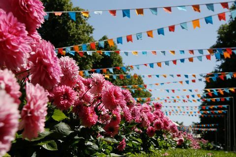 rhs hampton court palácový zahradní festival 2019