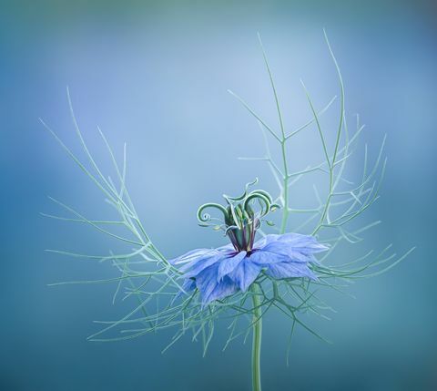 fotografická soutěž rhs 2021