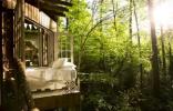 Tento úžasný stromový dům je nejoblíbenějším seznamem Airbnb na světě