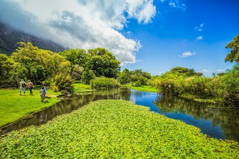 Zahrady Kirstenbosch