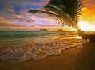 Havaj chce zaplatit 60 000 dolarů za práci v ráji