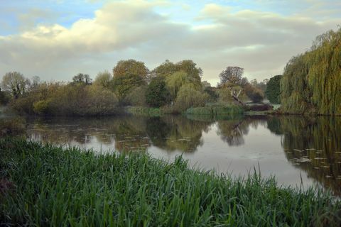 Říjnové svítání v areálu Foots Cray Meadows, vedle Five Arch Bridge přes řeku Cray v Bexley, Kent, Anglie