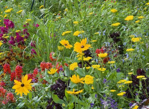 sledmere house garden, yorkshire