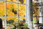11 způsobů, jak připravit svůj domov na podzim