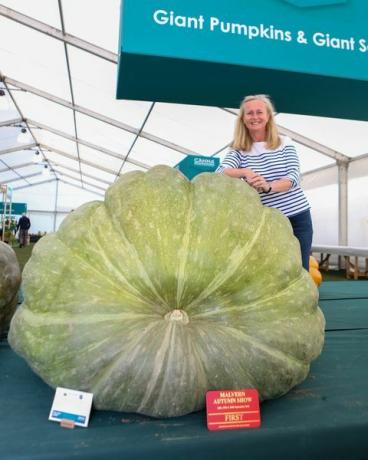 na obrázku phillipa mason s oceněným gigantem squash tři kraje rhs malvern podzimní výstava, 24. 26. září 2021 fotografie ze dne 1., 24. září fotografie od anny lythgoe