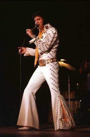 Elvis Presley v roce 1974