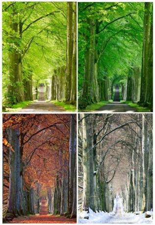 krásné podzimní krajiny: buk, skotsko, hrad z hradu Bellmond