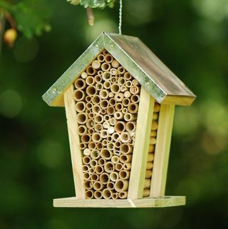Včelí hnízdo s pozinkovanou střechou