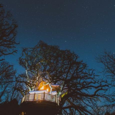 Strom stromů stromů - Devon - noc - Stříška a hvězdy