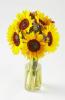 Morrisons prodává Wonky květiny, které se snažily růst v Heatwave