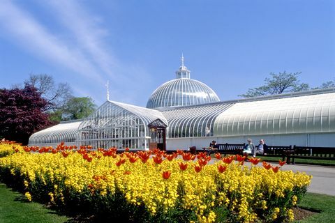 kibble palace a glasgowské botanické zahrady, glasgow, skotsko