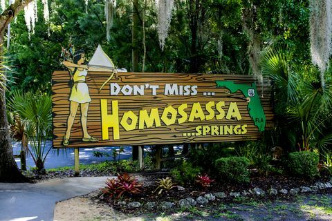 Reklamní banner Homosassa Springs na Floridě