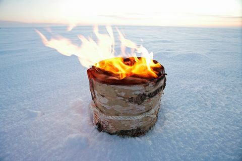 Essay Group Light n 'Go Bonfire Log