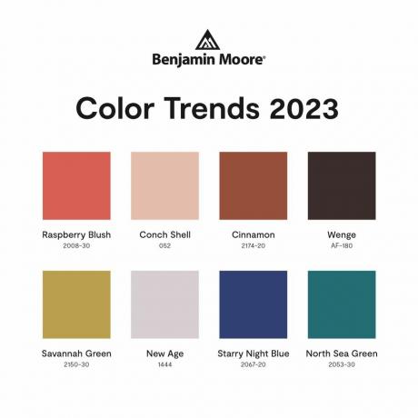 barevné trendy paleta benjamin moore barva roku 2023
