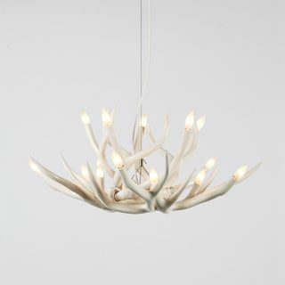 Superordinate Antler Chandelier