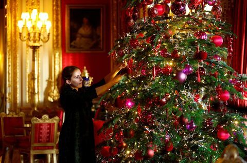 vánoční strom v karmínovém salonu, v zámku windsor