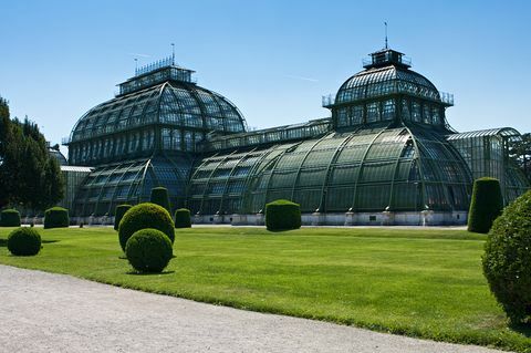 Palmový dům v zámeckém parku Schönbrunn ve Vídni