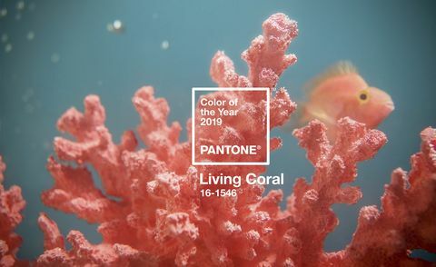 Pantone Color roku 2019 - Living Coral
