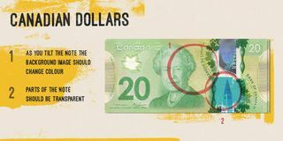 Kanadský dolar - padělky